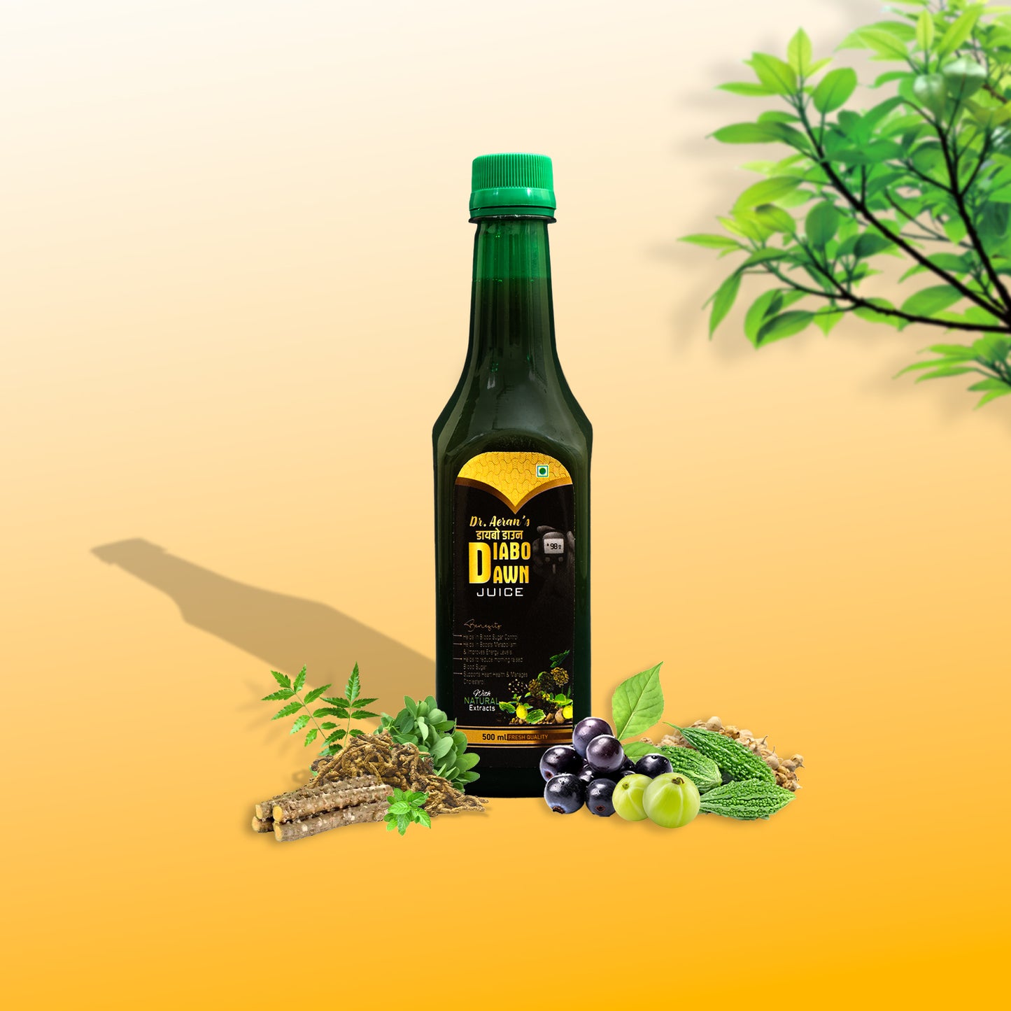 Dr. Aeran’s Diabo Dawn juice (Pack Of 3) | Diabetes care | Amla, Jamun, Karela & 7 more | To help manage blood sugar levels & diabetes