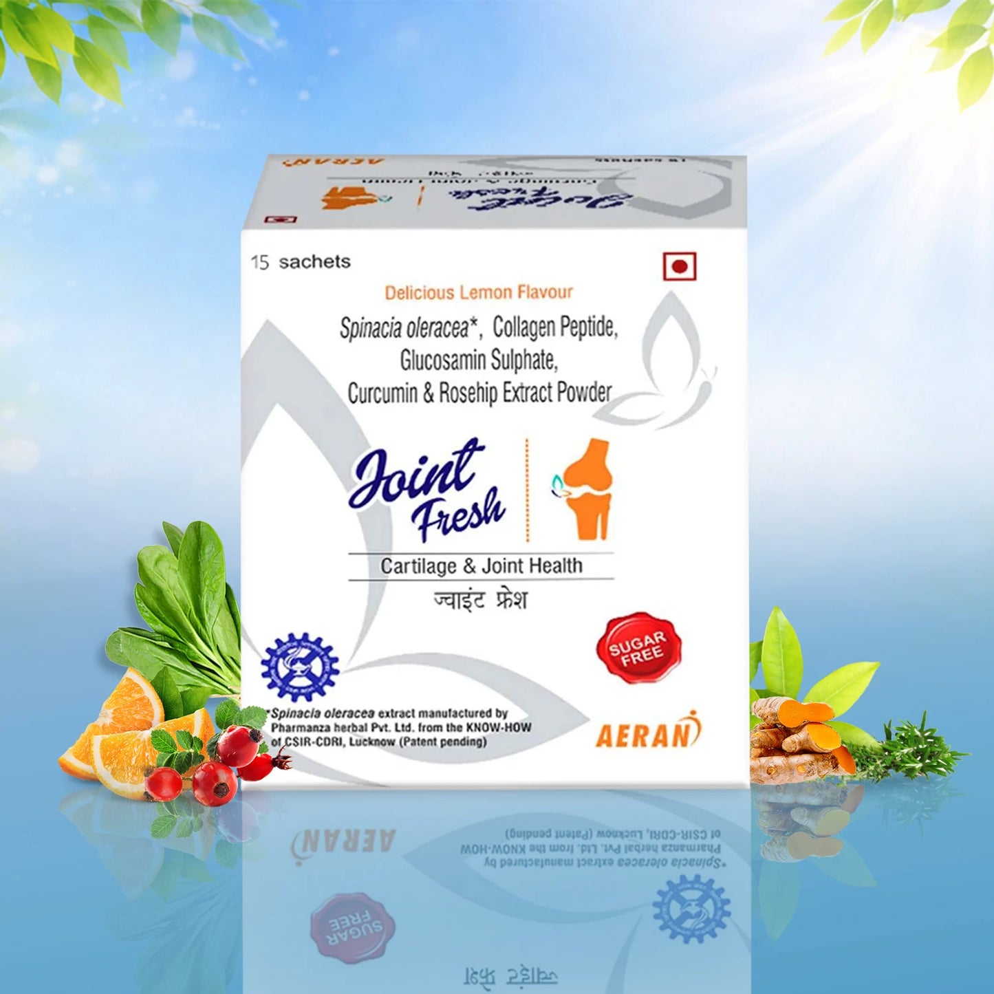 Ayurvedic Powder for Osteoarthritis – Joint Pain Relief, Mobility & Flexibility Support (Sachets)