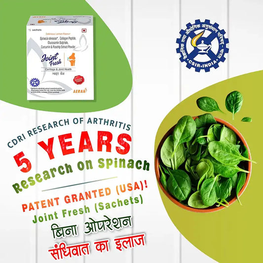 Ayurvedic Powder for Osteoarthritis | Pain Relief & Joint Mobility | Reduces Joint Pain & Stiffness, Improves Flexibility (Sachets)